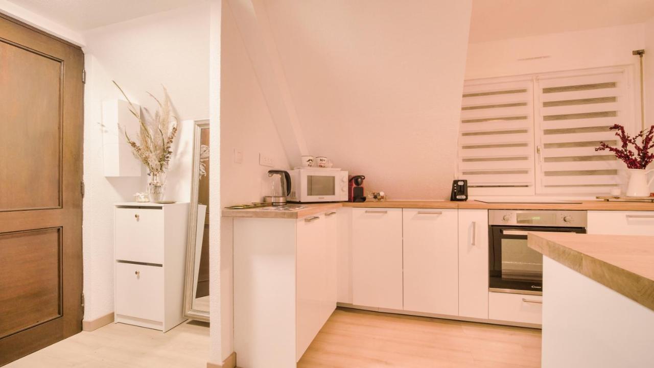 Superbe Appartement Au Coeur Du Colmar Exterior photo